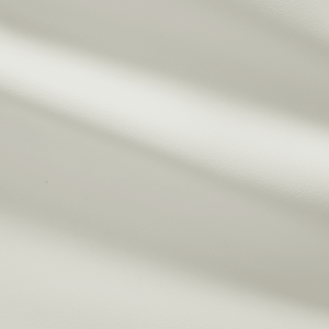 AJFESTIVALBAG-8.png 67094