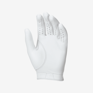 JDNPGATOURGGLHMIRROR-1.png 139851